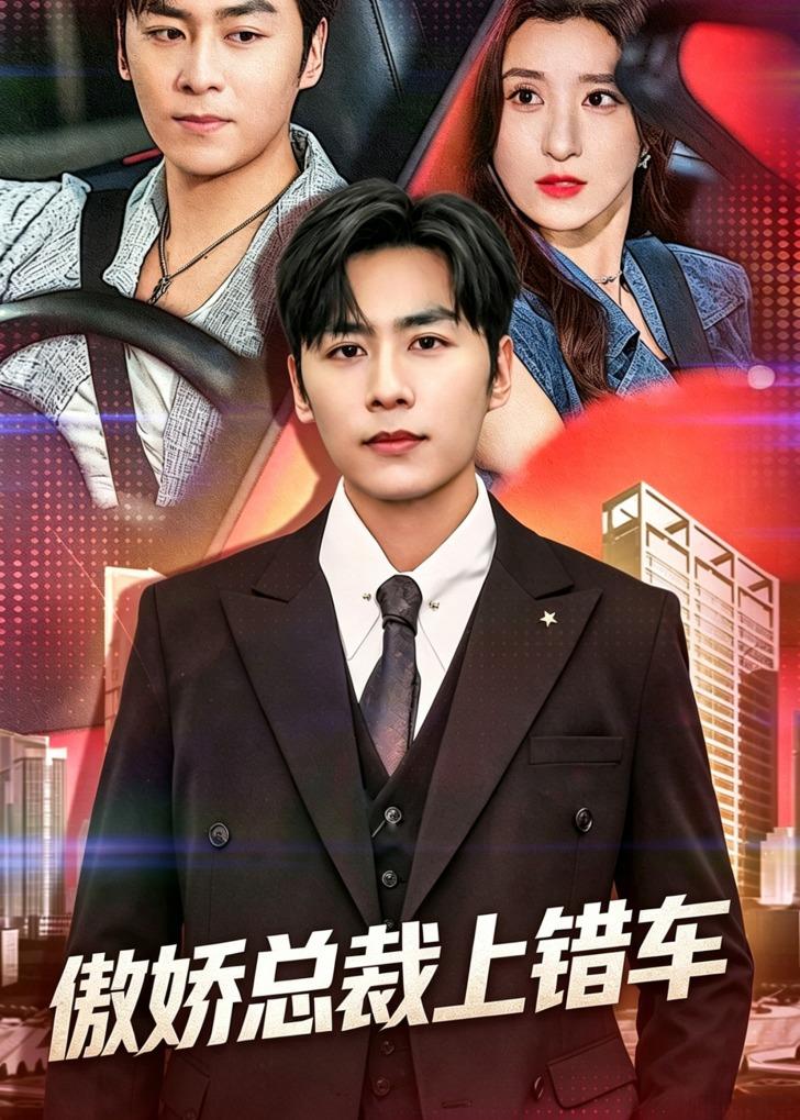 傲娇总裁上错车封面图