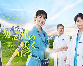 在勿忘草盛开的城镇封面图